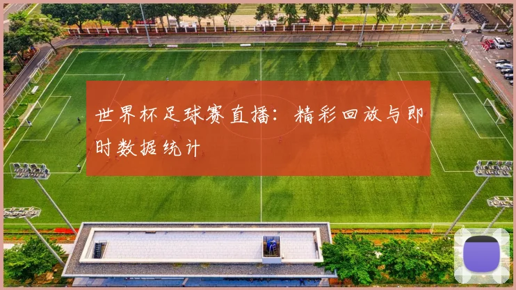 世界杯足球赛直播：精彩回放与即时数据统计