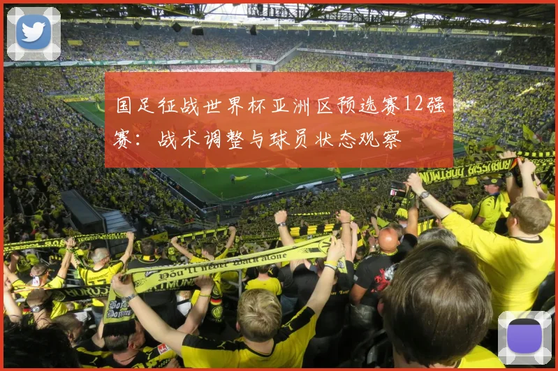 国足征战世界杯亚洲区预选赛12强赛：战术调整与球员状态观察