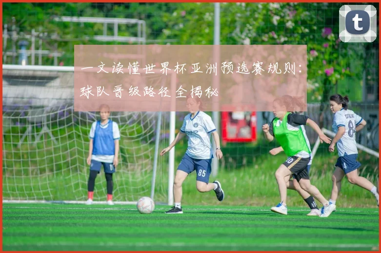 一文读懂世界杯亚洲预选赛规则:球队晋级路径全揭秘