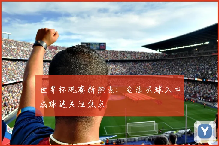 世界杯观赛新热点：合法买球入口成球迷关注焦点