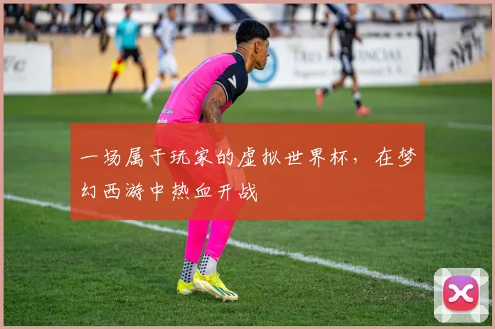 一场属于玩家的虚拟世界杯,在梦幻西游中热血开战