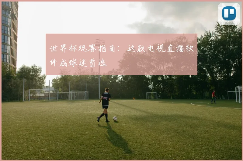 世界杯观赛指南:这款电视直播软件成球迷首选