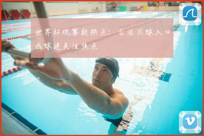 世界杯观赛新热点：合法买球入口成球迷关注焦点