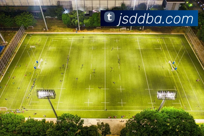 开云手机在线登录官网平台生态图